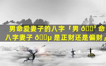 男命爱妻子的八字「男 🌳 命八字妻子 🐵 是正财还是偏财」